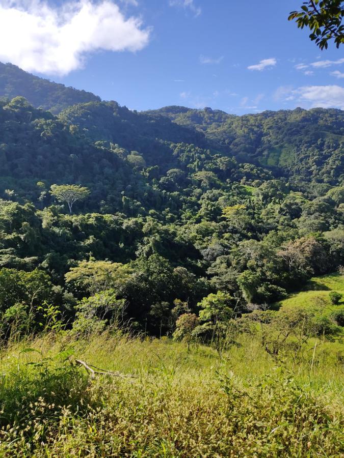 Finca Colibri Ecolodges En Pleine Nature Ferry Playa Najanjo Costa Rica Cabo Blanco Dış mekan fotoğraf